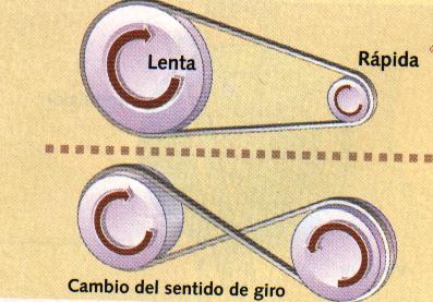 poleas unidas por correa.jpg